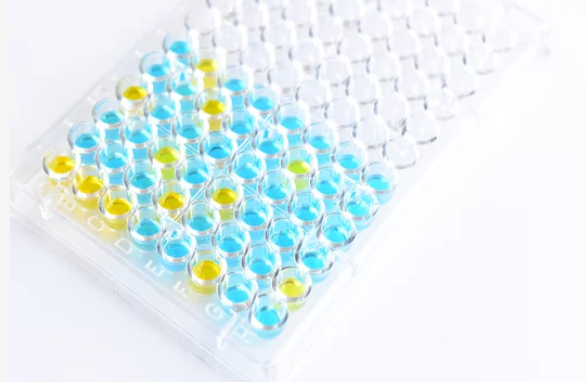 immunoassay-- immunoassay--